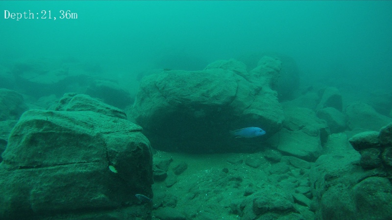 Chinyankwazi Island 12